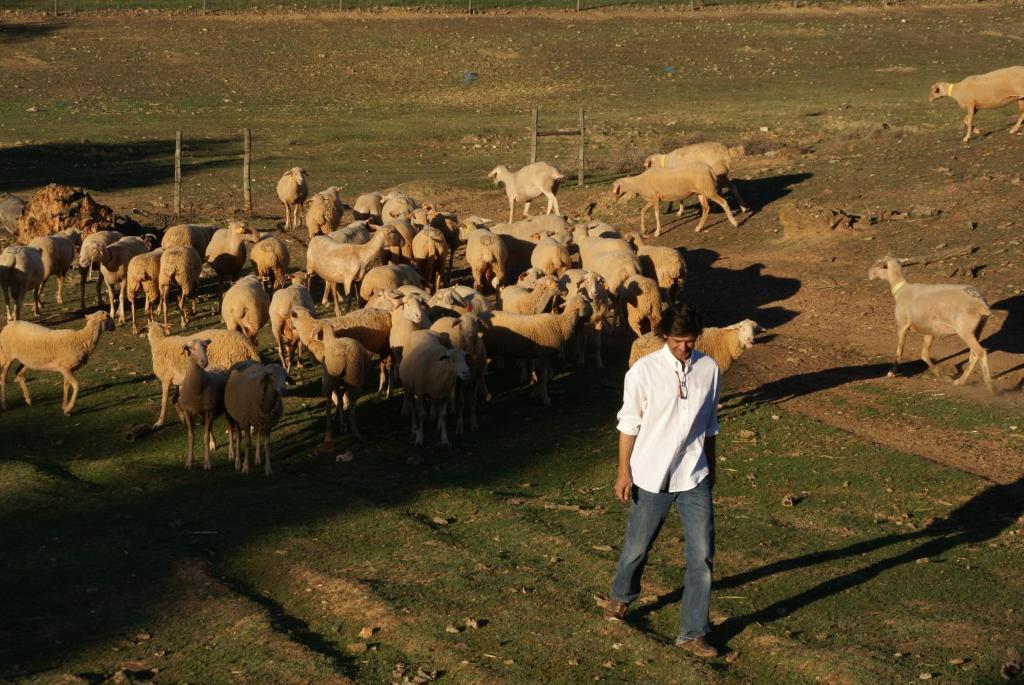 Cantar Do Grilo - Turismo Rural Serpa Ngoại thất bức ảnh
